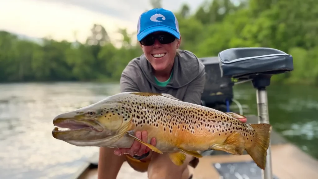 Trophy prespawn brown trout