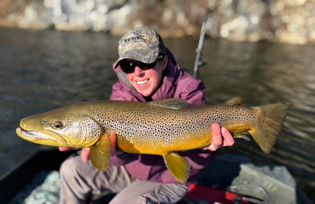 World record brown trout in Tennessee